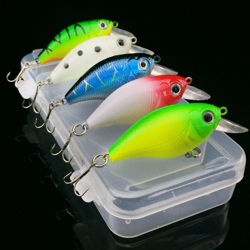 Five fat crankbaits in different colours in a clear box