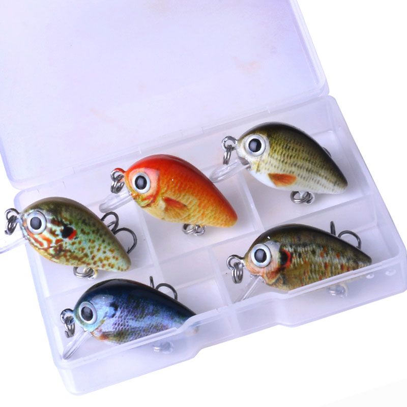 Five mini crankbaits in a clear box