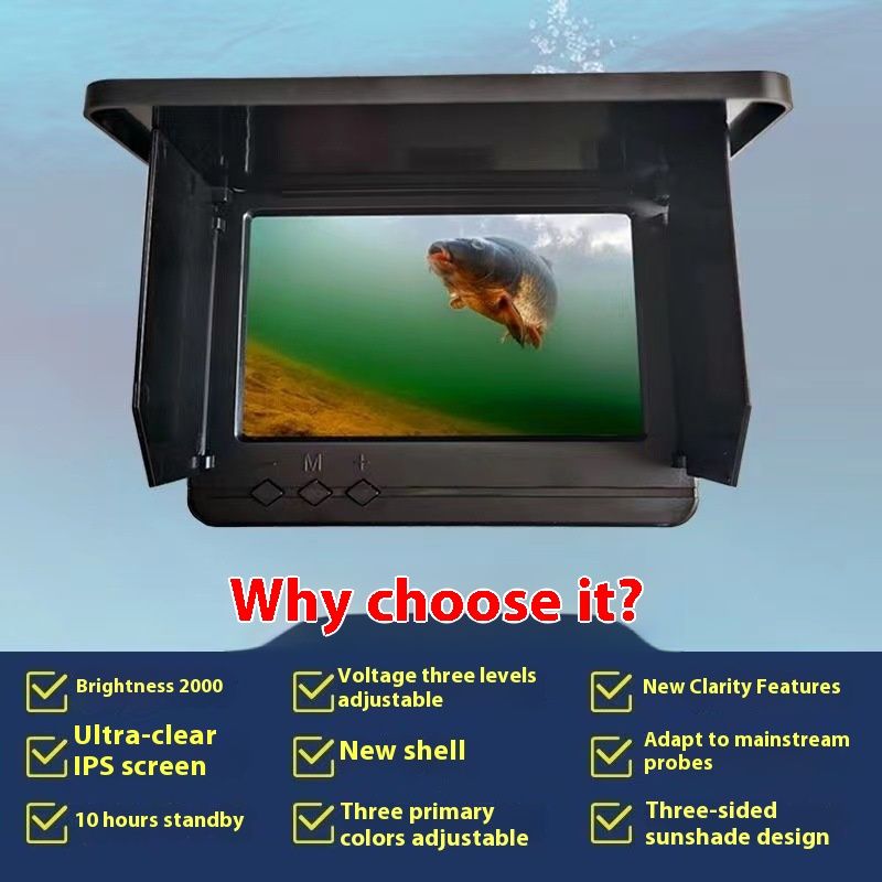 An underwater camera screen showing a fish in the water